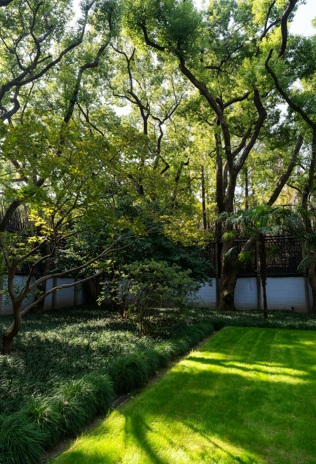 Manicured lawn with crisp edges and bed lines